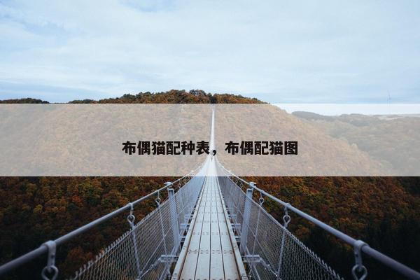布偶猫配种表，布偶配猫图