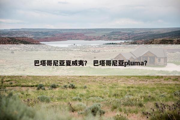 巴塔哥尼亚夏威夷？ 巴塔哥尼亚pluma？