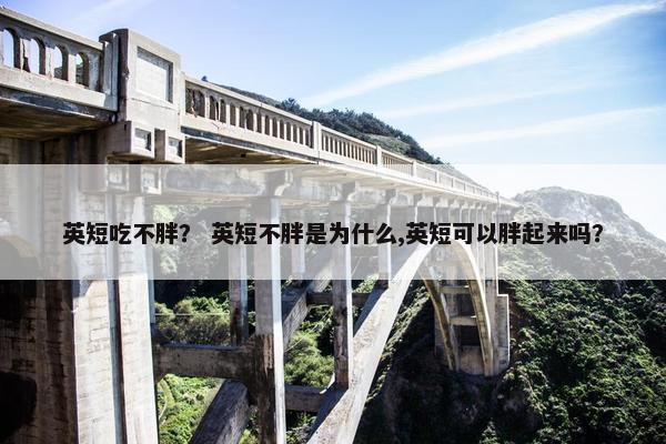 英短吃不胖？ 英短不胖是为什么,英短可以胖起来吗？