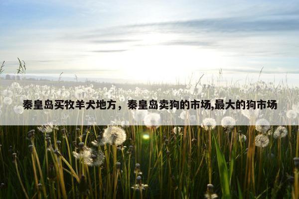 秦皇岛买牧羊犬地方，秦皇岛卖狗的市场,最大的狗市场