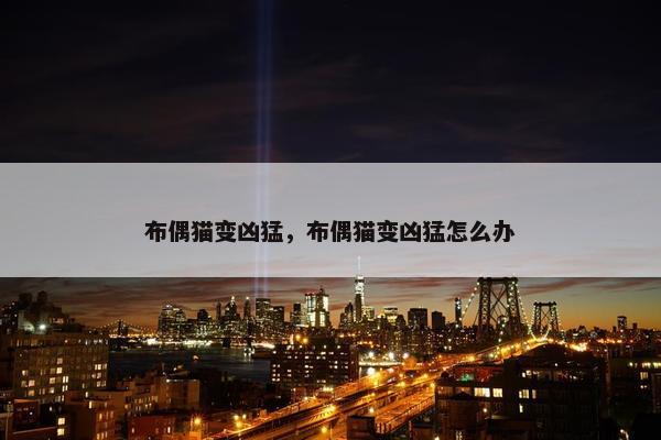 布偶猫 第8页