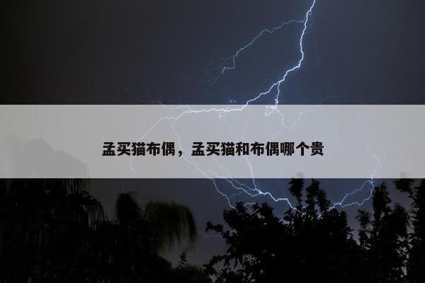 孟买猫布偶,孟买猫和布偶哪个贵