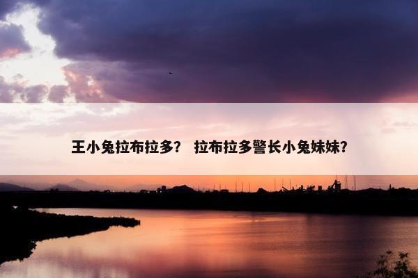 王小兔拉布拉多？ 拉布拉多警长小兔妹妹？