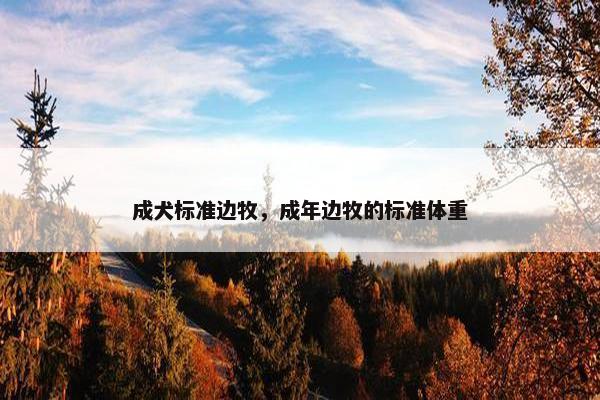 成犬标准边牧，成年边牧的标准体重