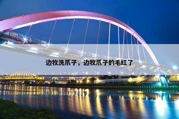 边牧洗爪子，边牧爪子的毛红了
