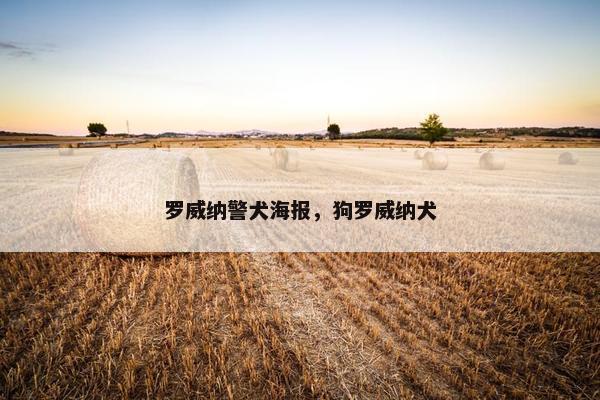罗威纳警犬海报，狗罗威纳犬