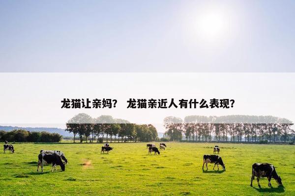 龙猫让亲妈？ 龙猫亲近人有什么表现？