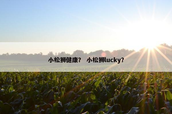 小松狮健康？ 小松狮lucky？