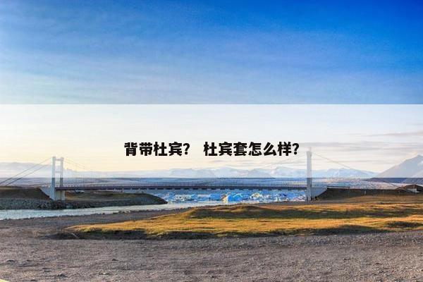 背带杜宾？ 杜宾套怎么样？