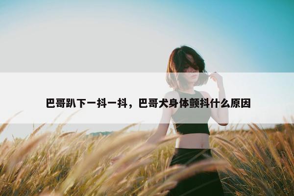 巴哥趴下一抖一抖，巴哥犬身体颤抖什么原因
