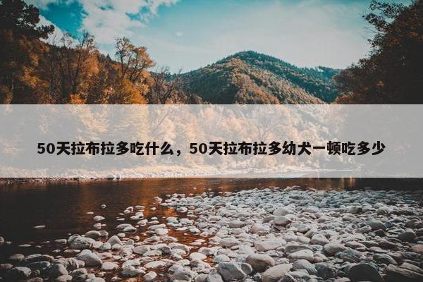50天拉布拉多吃什么，50天拉布拉多幼犬一顿吃多少