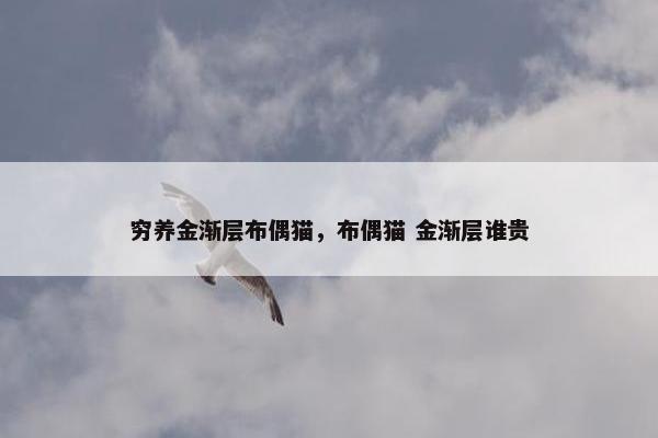 穷养金渐层布偶猫,布偶猫 金渐层谁贵