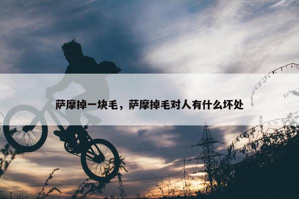 萨摩掉一块毛，萨摩掉毛对人有什么坏处