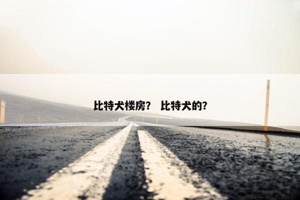 比特犬楼房？ 比特犬的？