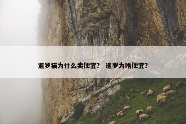 暹罗猫为什么卖便宜? 暹罗为啥便宜?