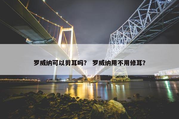 罗威纳可以剪耳吗？ 罗威纳用不用修耳？