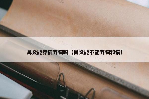 鼻炎能养猫养狗吗（鼻炎能不能养狗和猫）