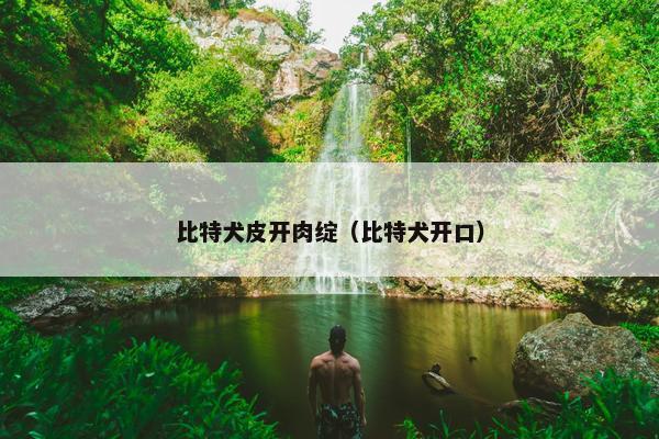 比特犬皮开肉绽（比特犬开口）