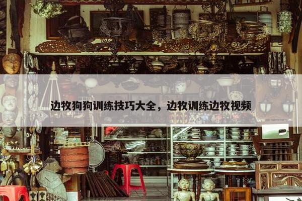 边牧狗狗训练技巧大全，边牧训练边牧视频