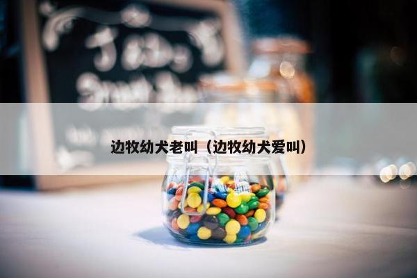边牧幼犬老叫(边牧幼犬爱叫)