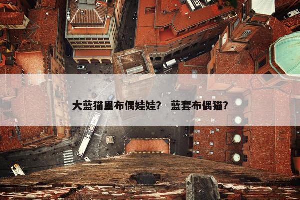 大蓝猫里布偶娃娃? 蓝套布偶猫?