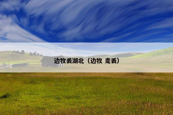 边牧丢湖北（边牧 走丢）