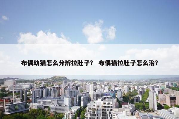 布偶猫 第7页