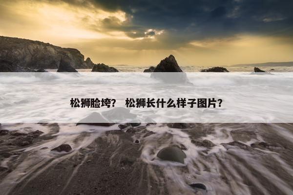 松狮脸垮？ 松狮长什么样子图片？