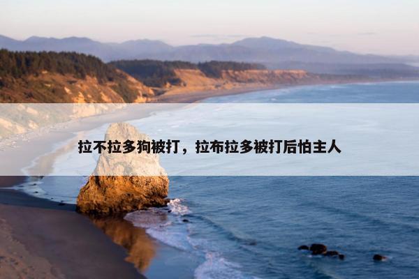 拉不拉多狗被打，拉布拉多被打后怕主人