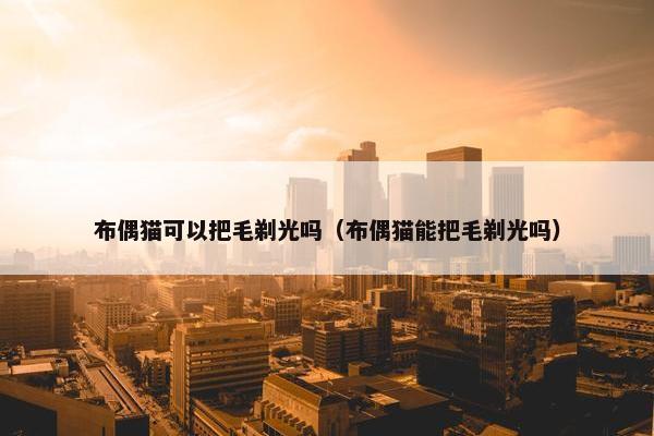 布偶猫可以把毛剃光吗(布偶猫能把毛剃光吗)