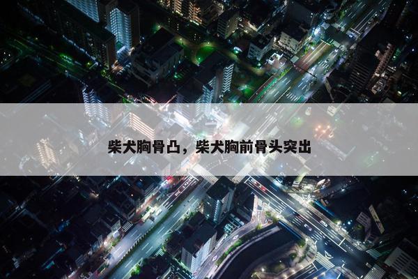 柴犬胸骨凸,柴犬胸前骨头突出