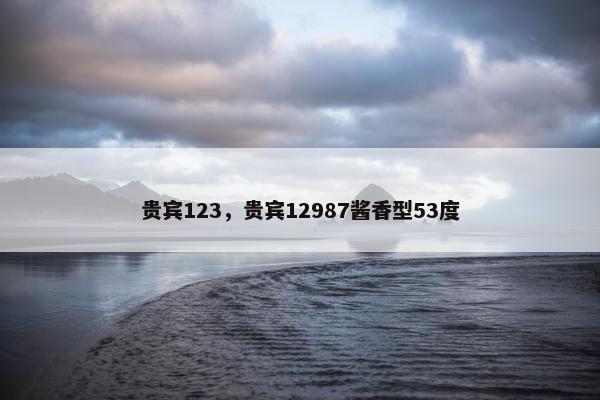 贵宾123，贵宾12987酱香型53度
