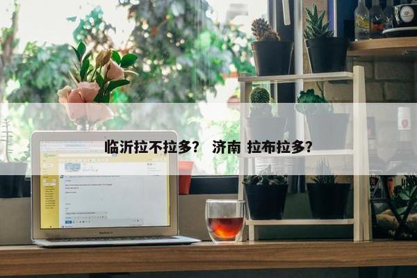 临沂拉不拉多？ 济南 拉布拉多？