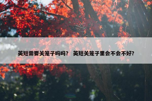英短需要关笼子吗吗？ 英短关笼子里会不会不好？
