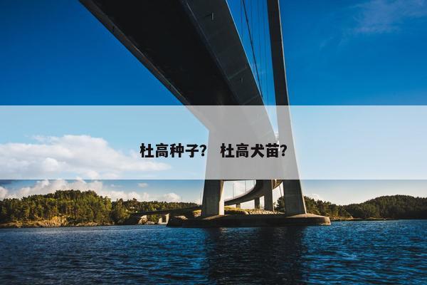 杜高种子？ 杜高犬苗？
