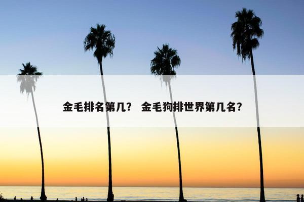 金毛排名第几？ 金毛狗排世界第几名？