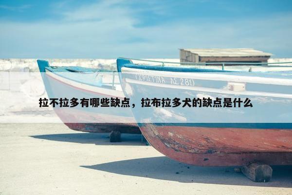 拉不拉多有哪些缺点，拉布拉多犬的缺点是什么