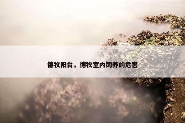 德牧阳台,德牧室内饲养的危害