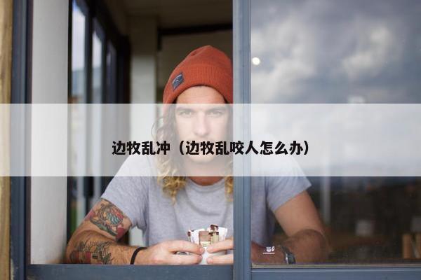 边牧乱冲（边牧乱咬人怎么办）