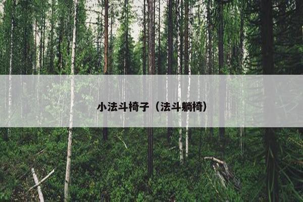 小法斗椅子(法斗躺椅)