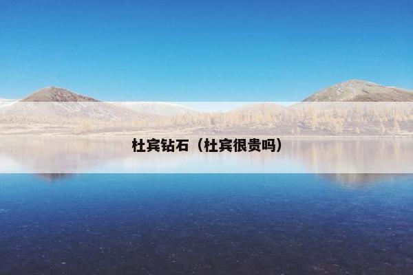 杜宾钻石（杜宾很贵吗）