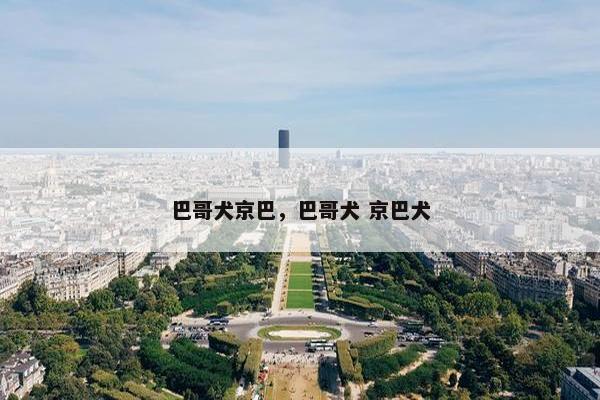 巴哥犬京巴，巴哥犬 京巴犬