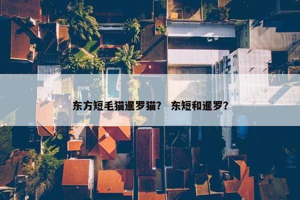 东方