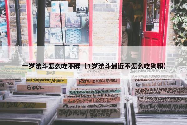 一岁法斗怎么吃不胖（1岁法斗最近不怎么吃狗粮）