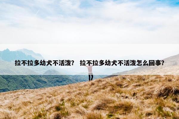 拉不拉多幼犬不活泼？ 拉不拉多幼犬不活泼怎么回事？
