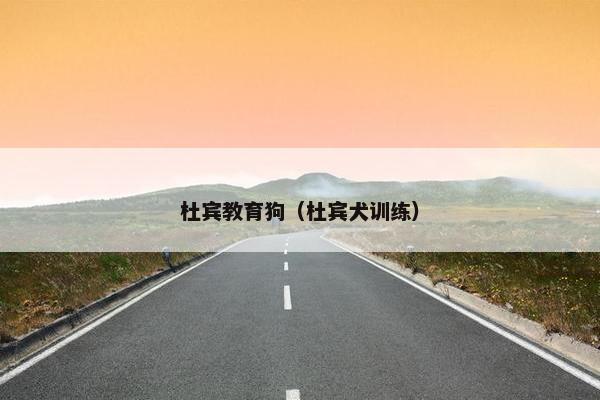 杜宾教育狗（杜宾犬训练）