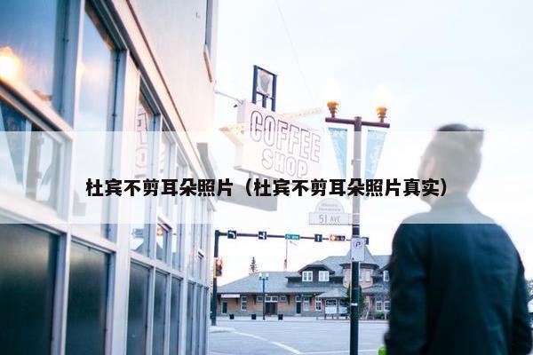 杜宾不剪耳朵照片(杜宾不剪耳朵照片真实)