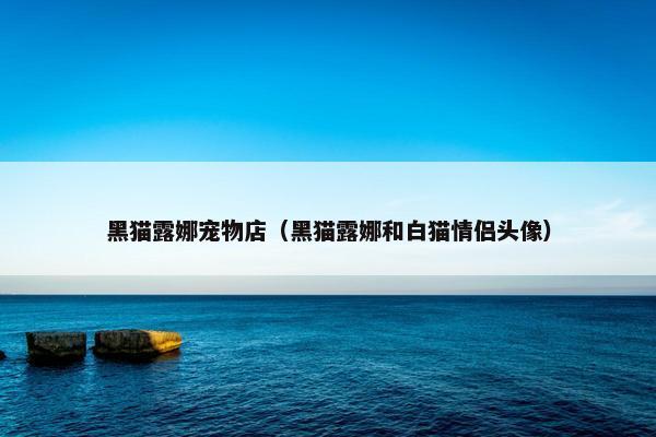 黑猫露娜宠物店（黑猫露娜和白猫情侣头像）