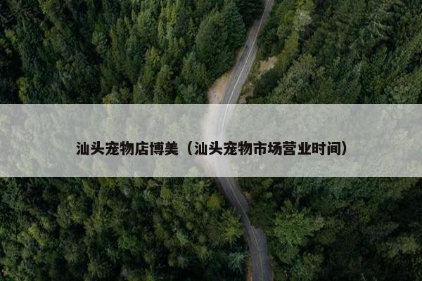 汕头宠物店博美（汕头宠物市场营业时间）