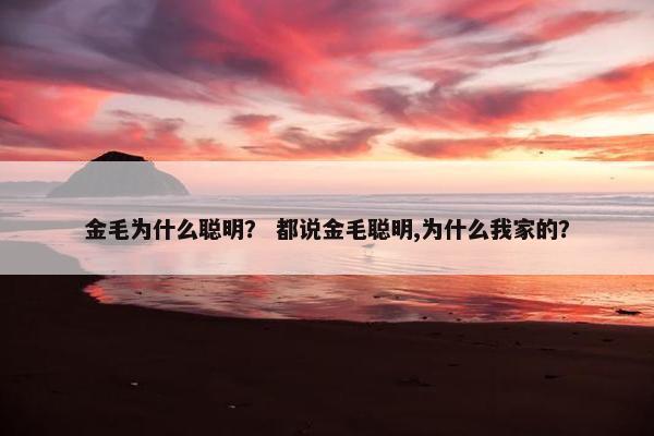 金毛为什么聪明？ 都说金毛聪明,为什么我家的？
